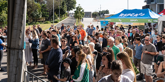 crowds gather at big adopt out 2019